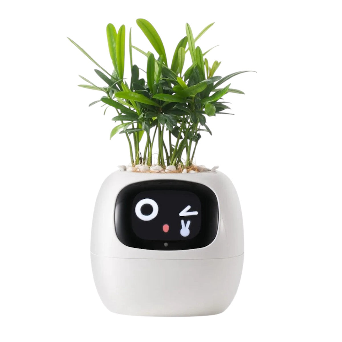 Ivy Smart Pot