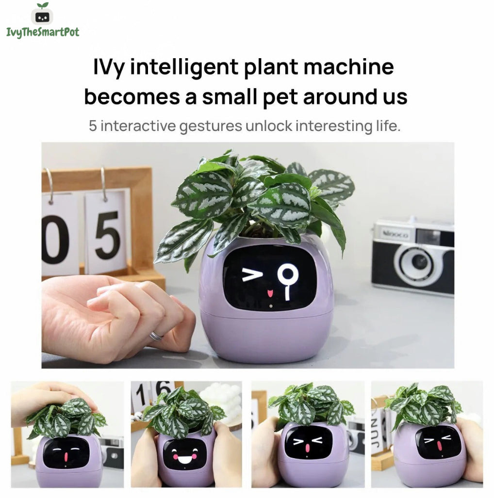 Ivy Smart Pot